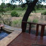 Lion Sand Tinga Lodge