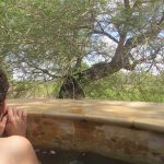 Lion Sand Tinga Lodge