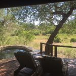 Lion Sand Tinga Lodge