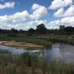 Lion Sand Tinga Lodge