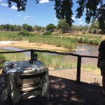 Lion Sand Tinga Lodge