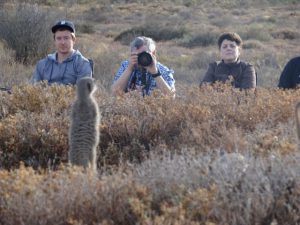 www.meerkatadventures.co.za