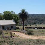Addo Elephant Nationalpark