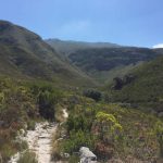 Fernkloof Nature Reserve