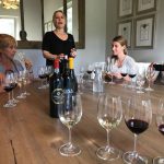 Weinverkostung Vergelegen