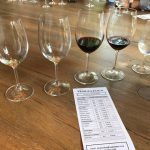 Verkostung Vergelegen