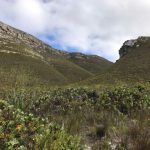 Fernkloof Nature Reserve
