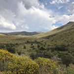Mountain Zebra Nationalpark