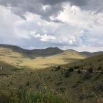 Mountain Zebra Nationalpark