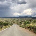 Mountain Zebra Nationalpark