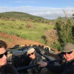 Mitten im Löwenrudel