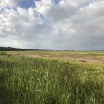 iSimangaliso
