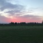 Bordeaux Château Arnaud de Jacquemeau