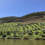 Douro-Tal