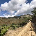 Quinta do Bomfim, Douro-Tal