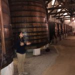 Quinta do Bomfim, Douro-Tal