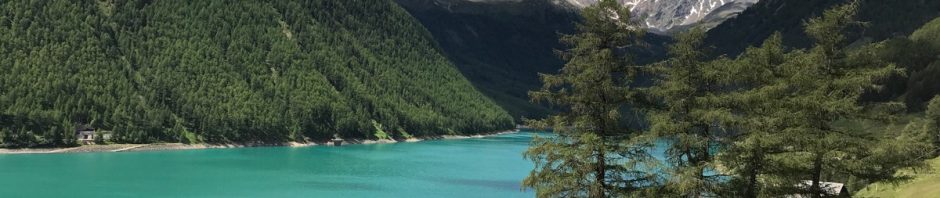 Blick auf den Stausee