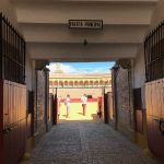 Der Weg in die Arena