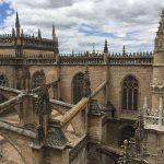 Über den Dächern der Kathedrale