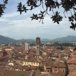 Blick auf die Altstadt